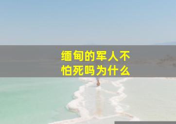 缅甸的军人不怕死吗为什么