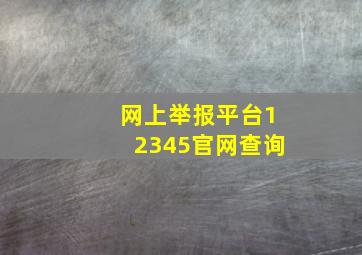 网上举报平台12345官网查询