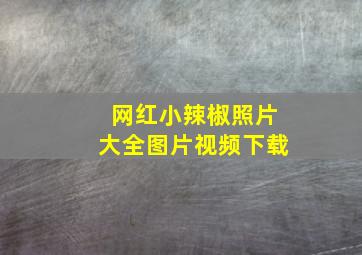 网红小辣椒照片大全图片视频下载