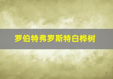 罗伯特弗罗斯特白桦树