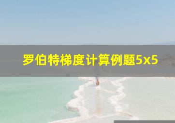 罗伯特梯度计算例题5x5