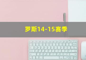 罗斯14-15赛季