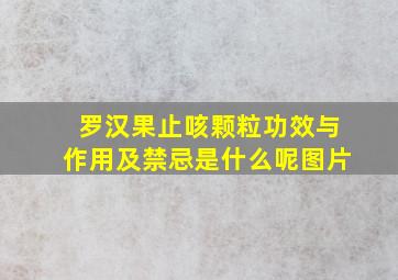 罗汉果止咳颗粒功效与作用及禁忌是什么呢图片