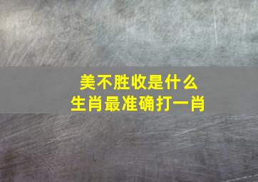 美不胜收是什么生肖最准确打一肖