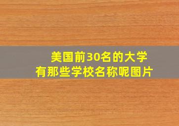 美国前30名的大学有那些学校名称呢图片