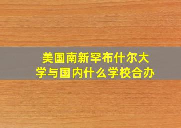 美国南新罕布什尔大学与国内什么学校合办