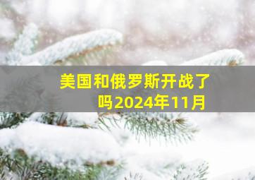 美国和俄罗斯开战了吗2024年11月