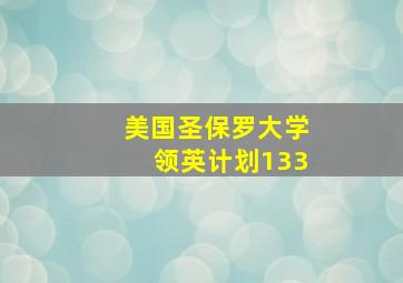 美国圣保罗大学领英计划133