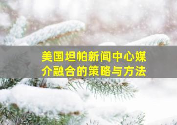 美国坦帕新闻中心媒介融合的策略与方法