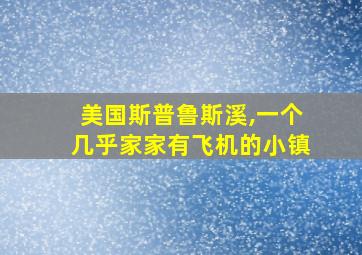 美国斯普鲁斯溪,一个几乎家家有飞机的小镇