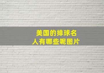 美国的排球名人有哪些呢图片