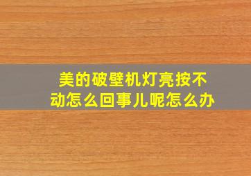 美的破壁机灯亮按不动怎么回事儿呢怎么办