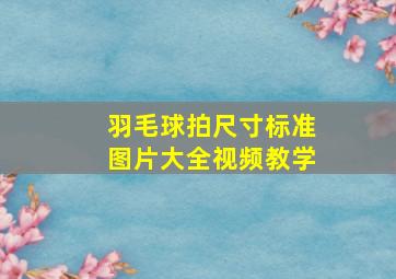 羽毛球拍尺寸标准图片大全视频教学