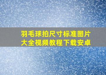 羽毛球拍尺寸标准图片大全视频教程下载安卓