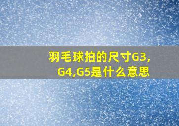 羽毛球拍的尺寸G3,G4,G5是什么意思