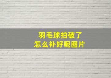 羽毛球拍破了怎么补好呢图片