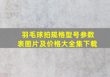 羽毛球拍规格型号参数表图片及价格大全集下载