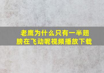 老鹰为什么只有一半翅膀在飞动呢视频播放下载