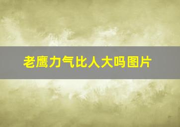 老鹰力气比人大吗图片