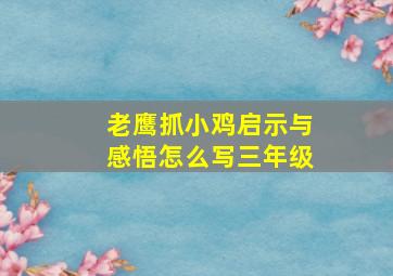 老鹰抓小鸡启示与感悟怎么写三年级