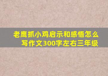 老鹰抓小鸡启示和感悟怎么写作文300字左右三年级