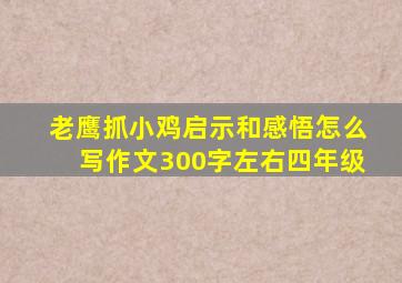 老鹰抓小鸡启示和感悟怎么写作文300字左右四年级