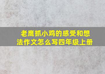 老鹰抓小鸡的感受和想法作文怎么写四年级上册