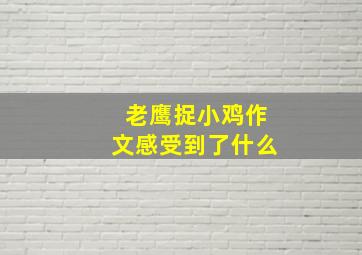 老鹰捉小鸡作文感受到了什么