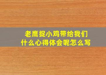 老鹰捉小鸡带给我们什么心得体会呢怎么写