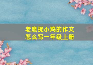 老鹰捉小鸡的作文怎么写一年级上册