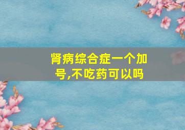 肾病综合症一个加号,不吃药可以吗