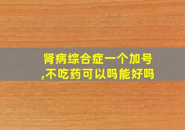 肾病综合症一个加号,不吃药可以吗能好吗