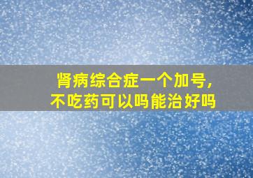 肾病综合症一个加号,不吃药可以吗能治好吗