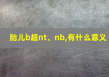 胎儿b超nt、nb,有什么意义