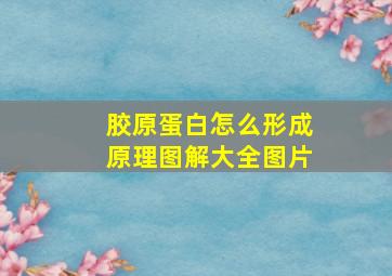 胶原蛋白怎么形成原理图解大全图片