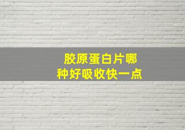 胶原蛋白片哪种好吸收快一点