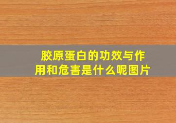 胶原蛋白的功效与作用和危害是什么呢图片