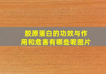 胶原蛋白的功效与作用和危害有哪些呢图片