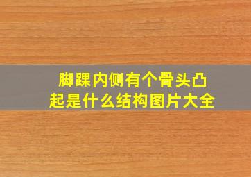 脚踝内侧有个骨头凸起是什么结构图片大全