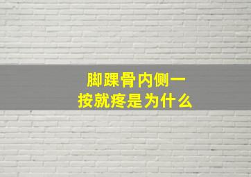 脚踝骨内侧一按就疼是为什么