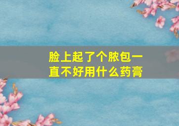 脸上起了个脓包一直不好用什么药膏