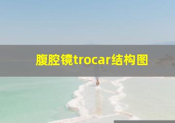 腹腔镜trocar结构图