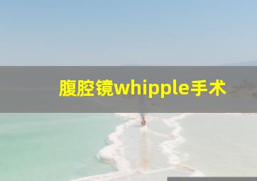 腹腔镜whipple手术