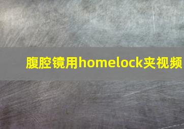 腹腔镜用homelock夹视频