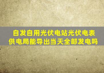 自发自用光伏电站光伏电表供电局能导出当天全部发电吗