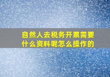 自然人去税务开票需要什么资料呢怎么操作的