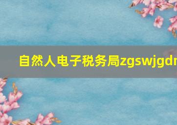 自然人电子税务局zgswjgdm