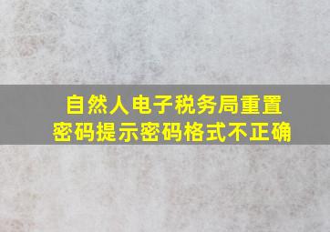 自然人电子税务局重置密码提示密码格式不正确