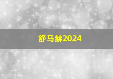 舒马赫2024