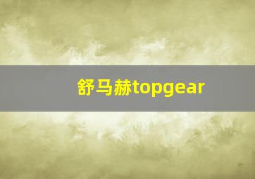 舒马赫topgear